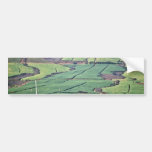 Sugar Cane Fields - Lahaina, Maui Bumper Sticker