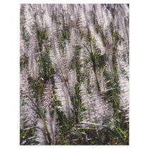 Sugar cane flyers