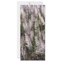 Sugar cane rack cards