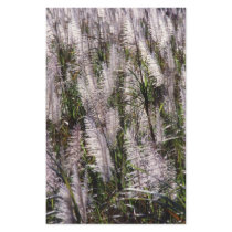 Sugar cane stationery