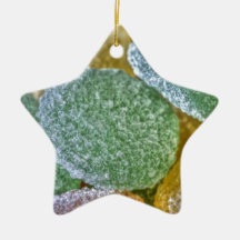 Sugar Coated Christmas Ornaments