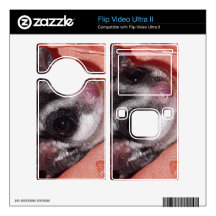 Sugar Glider Closeup in Pink Silk Flip Video Ultra II Skin