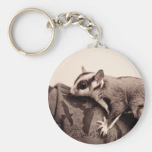 Sugar Glider keychain