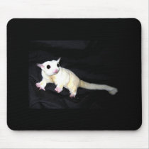 Sugar Glider Mousepad by mimimanley Sugar Glider Mousepad