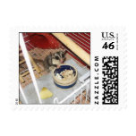 Sugar Glider Stamps