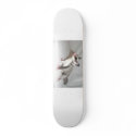 sugar glider skate boars skateboards by dranger1108 sugar glider skate boars skateboards