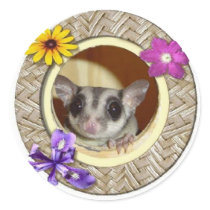Sugar Glider stickers
