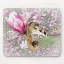 Sugar Glider Sweetness mousepads