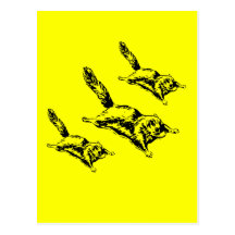 Sugar Gliders Attack Post Cards