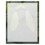 Sugar maple tree fruit (acer saccharum) custom letterhead