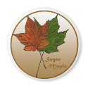 Sugar Maple Tree magnets by RichardBrowne Sugar Maple Tree magnets