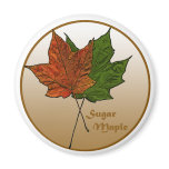 Sugar Maple Tree magnets