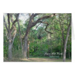 Sugar Mill Woods III Cards