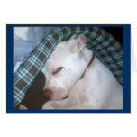SUGAR PLUM DREAMS GREETING CARD