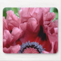 Sugar Plum Fairy mousepads