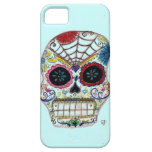 Sugar Skull casemate cases