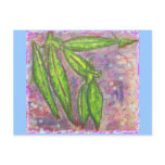 Sugar Snaps Postcards