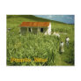 Sugarcane Plantation, Puerto Rico Post Card