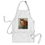 Sugarman's Lynx Apron
