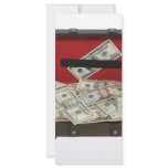 SuitcaseMoney080409 Personalized Rack Card