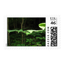 Suiza postage