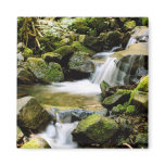 Sul Duc stream Refrigerator Magnet
