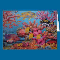 Sulawesi Reef cards