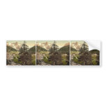Sulden, the Schontauftspitze (i.e., Schontaufspitz Bumper Stickers
