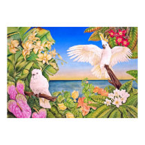 Sulfer-crested Cockatoos posters by joeyartist Sulfer-crested Cockatoos posters