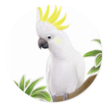 Sulfur Crested Cockatoo Sticker by twopurringcats Sulfur Crested Cockatoo Sticker