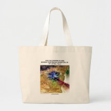 Sulfur Dioxide Plume Eruption Mt. Etna Italy Tote Bags