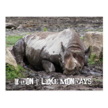 Sulking Rhino Postcard
