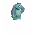 Sulley Disney Tee Shirt