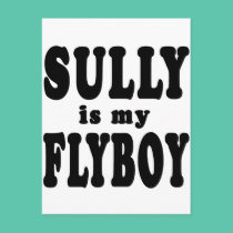 Sully is My Flyboy postcards