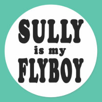 Sully is My Flyboy stickers