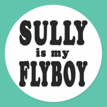 Sully is My Flyboy stickers