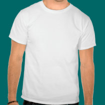 Sully is My Flyboy t-shirts