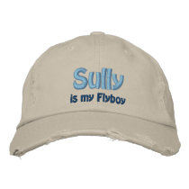 Sully is my Flyboy, US Airways, Flight 1549 embroidered hats by beverlytazangel Sully is my Flyboy, US Airways, Flight 1549 embroidered hats