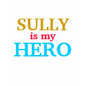 Sully is my hero t-shirts