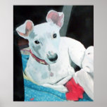 Sully the Jack Russell Terrier Canvas Print Sully the Jack Russell Terrier Canvas Print
