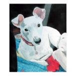 Sully the Jack Russell Terrier Print