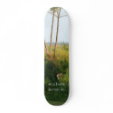 sULLYS sKATEBOArd