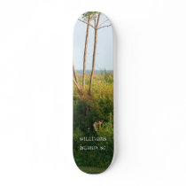 sULLYS sKATEBOArd