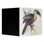 Sulphur and white breasted Toucan, 19th century binders