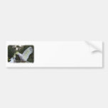 Sulphur Crested Cockatoo 9Y319D-079 Bumper Sticker