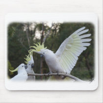 Sulphur Crested Cockatoo 9Y319D-079 Mousepads