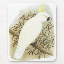 Sulphur-crested Cockatoo - Cacatua galerita mousepads by LisasLair Sulphur-crested Cockatoo - Cacatua galerita mousepads