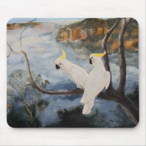 Sulphur-Crested Cockatoos in The Blue Mountains' Mousemats