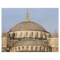 Sultan Ahmet Mosque Domes Flyer