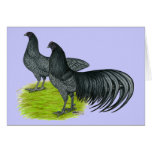 Sumatra:  Blue Pair Greeting Cards